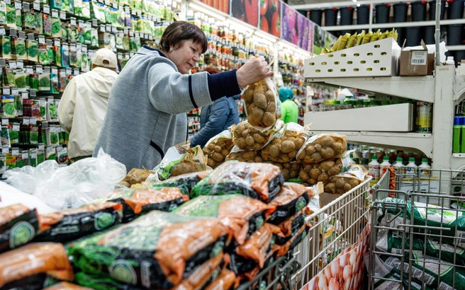 Картошки будет еще меньше и она станет еще дороже? | Источник: Наталья Лапцевич / 74.RU