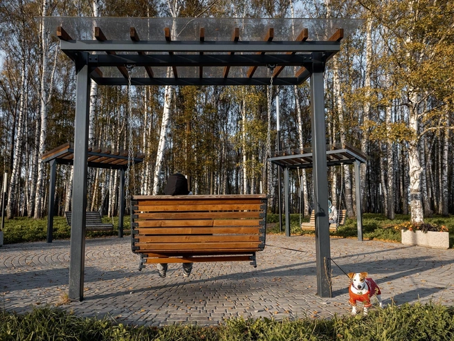 Посетители парка приходят сюда со своими четвероногими друзьями | Источник: Александр Куренной / 76.RU