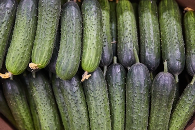 Цены на огурцы в Новосибирске снова выросли