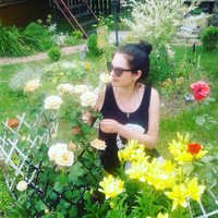 Аватарка Вика Дёшина