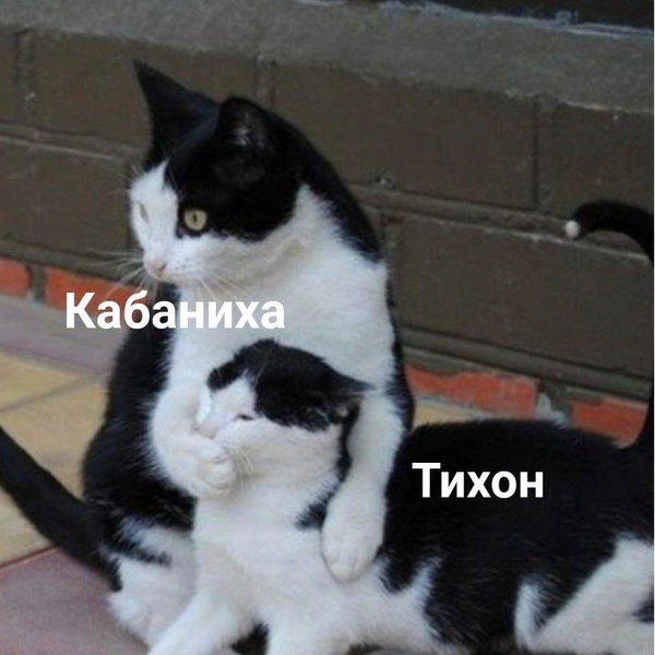 Смешные картинки и мемы, понятные только тому, кто любит книги и читать | Источник: соцсети
