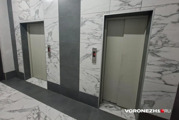 Источник: Алёна Воропаева / Voronezh1.ru