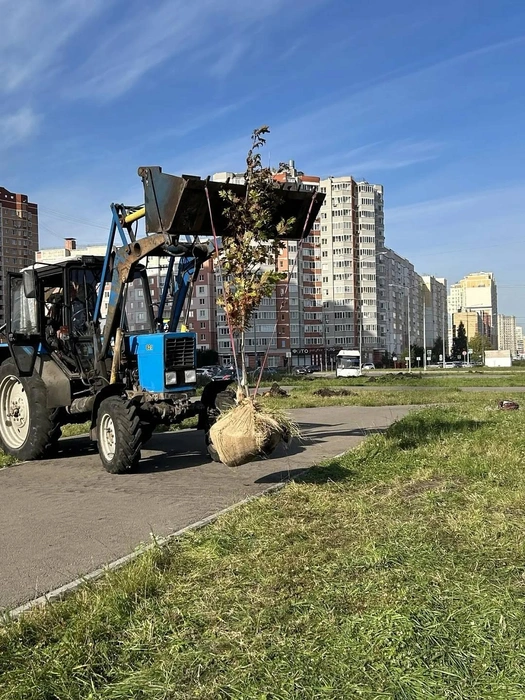 Источник: lipetskcity.ru