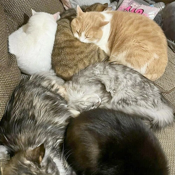 Источник: соцсеть