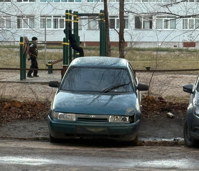 Погонять водитель пригласил своих друзей | Источник: «Госавтоинспекция Тольятти» / vk.com