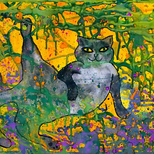 Фитнес-кот | Источник: Наталья Пронина