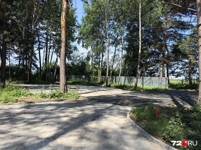Стройка в самом разгаре | Источник: Павел Красоткин / 72.RU