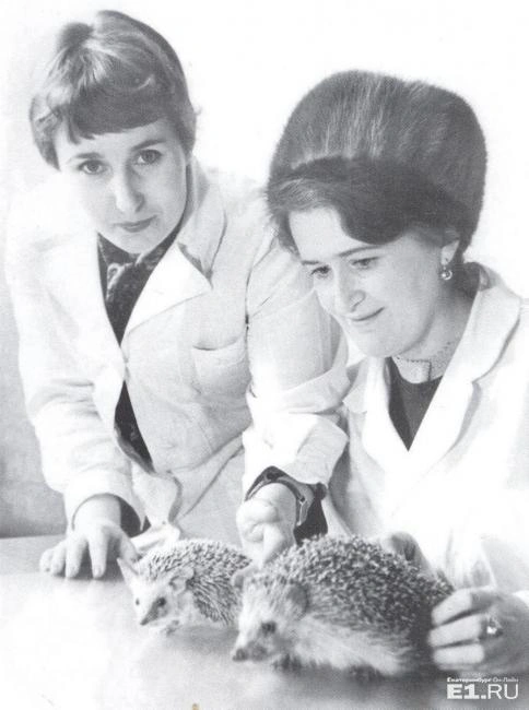 Сотрудники зоопарка Галина Зюсько и Вионора Зацепина. 1982 год