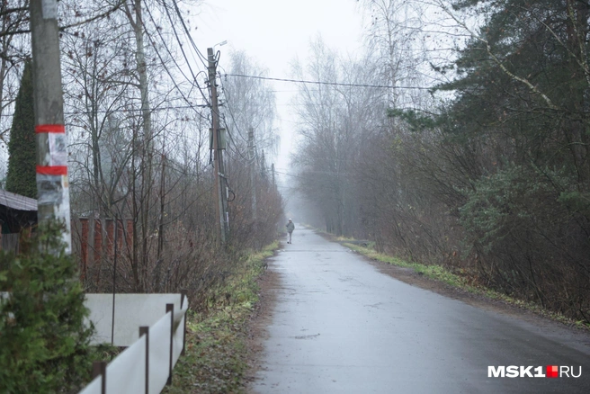 Источник: Дмитрий Толстошеев / MSK1.RU