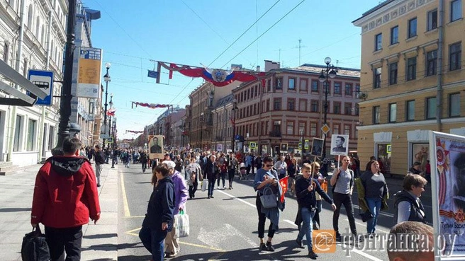 Источник: Николай Кудин/"Фонтанка.ру"