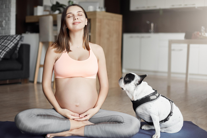 Домашние животные: риски для беременных