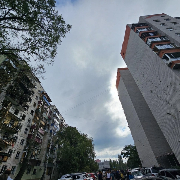 Источник: Курская область