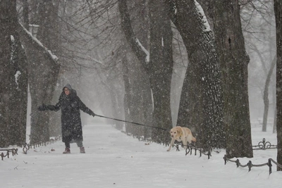 Циклон WALLY V приближается к Петербургу с юга