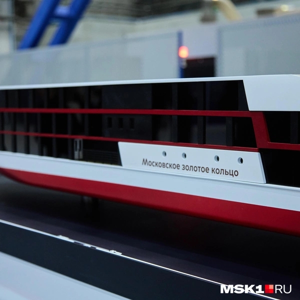 Источник: Дмитрий Толстошеев / MSK1.RU