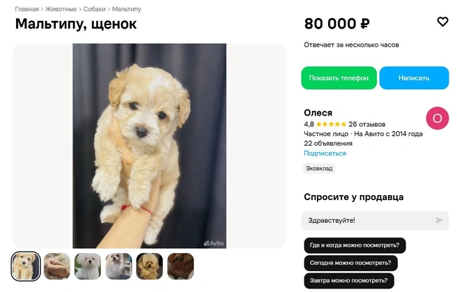 Источник: «Авито»