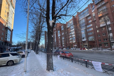 Caution Tape Marks Trees for Removal on Irkutsk Street