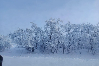 Snowy beauty of winter landscapes near Volgograd