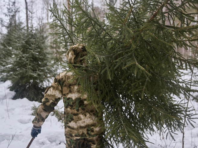 Контроль за незаконными рубками усилился, в том числе с применением беспилотников. Как отметил Антон Басалаев, за самовольную вырубку предусмотрены значительные штрафы и уголовная ответственность. | Источник: Александр Ощепков / NGS.RU