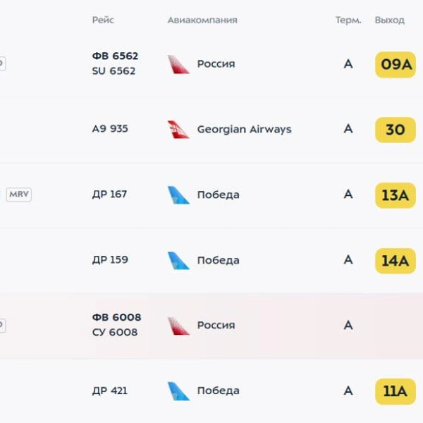 С опозданием вылетает несколько рейсов из Внуково | Источник: vnukovo.ru