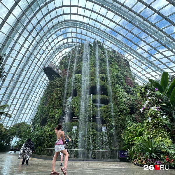 Cloud Forest | Источник: Габриелла Захарова / 26.RU