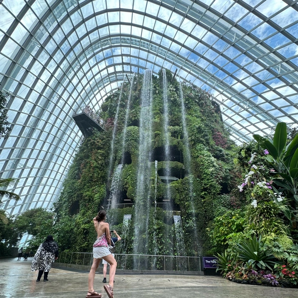 Cloud Forest | Источник: Габриелла Захарова / 26.RU