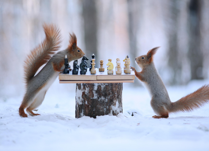 В СССР шахматы не были просто игрой. Они обостряли отношения с США в холодную войну