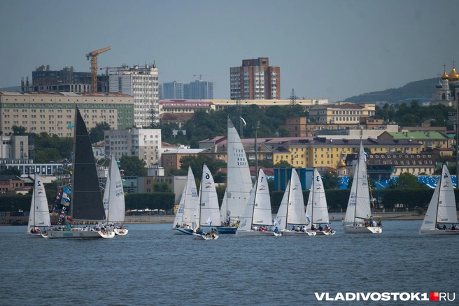Источник: Елена Буйвол / VLADIVOSTOK1.RU