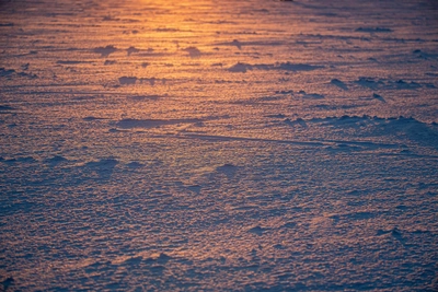 От -27 до +2: погодные сюрпризы ждут новосибирцев