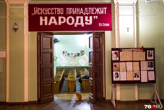 Искусство принадлежит народу. И котикам | Источник: Александра Мамонтова / 76.RU