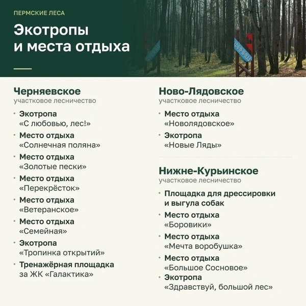 Источник: пресс-служба администрации Перми