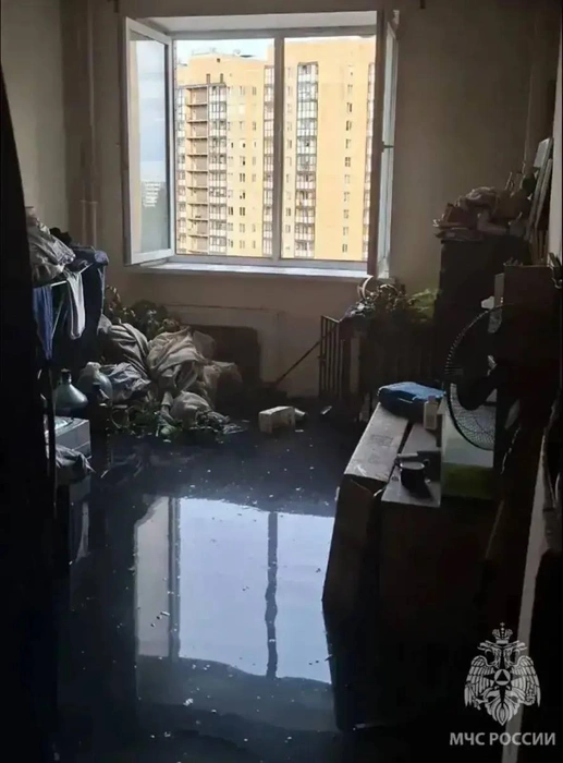 50 человек и одна собака. Квартирный пожар выгнал жильцов из дома в Новом Девяткино | Источник: ГУ МЧС России по Ленинградской области