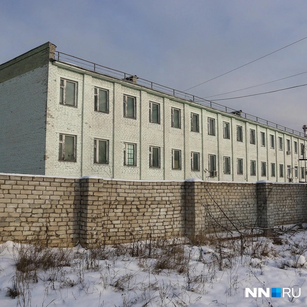 Источник: Наталья Бурухина / NN.RU