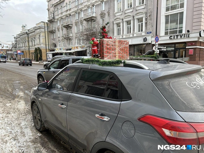 Пассажирам нравится  | Источник: Алексей Тайганавт / NGS24.RU