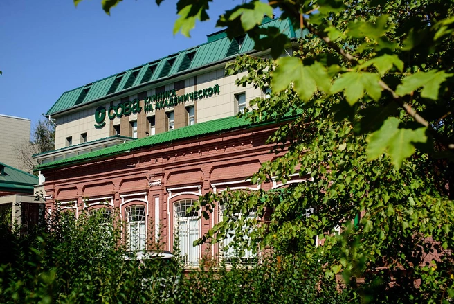 Пересадить волосы можно даже на брови | Источник: «Сова»