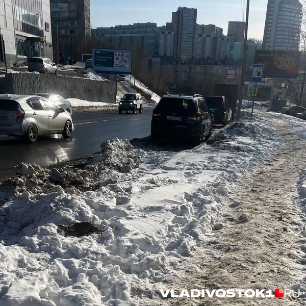 Источник: Елена Буйвол / VLADIVOSTOK1.RU