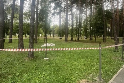 В Первомайском парке Новосибирска откроют зоопарк