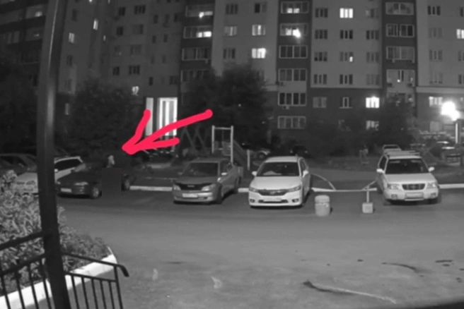 Мужчина, по словам сибирячки, демонстрировал свой половой орган | Источник: «Анонимный Новосибирск» / Telegram