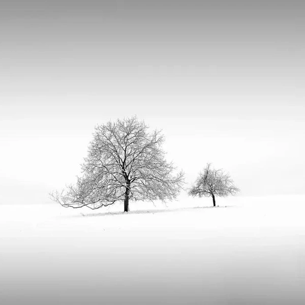 Источник: Silke Schönborn / Minimalist Photography Awards 2025