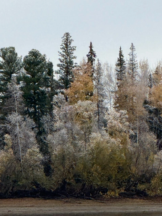 Полярный Урал удивляет природным разнообразием | Источник: предоставлено Ярославом Климко