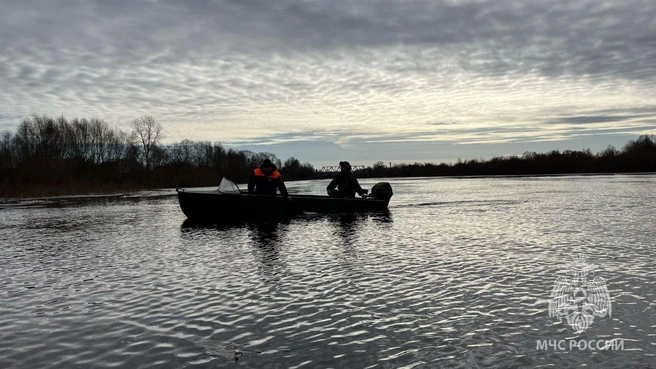 В Новгородской области мужчина провалился под лед и утонул, спасая собаку | Источник: МЧС Новгородской области