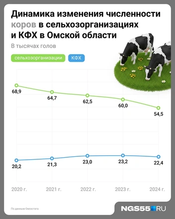 В сельхозорганизациях поголовье сокращается быстрее всего  | Источник: Евгения Бикунова / Городские медиа 