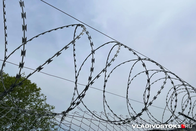 Предполагают, что он распорядился деньгами компании | Источник: Елена Буйвол / VLADIVOSTOK1.RU