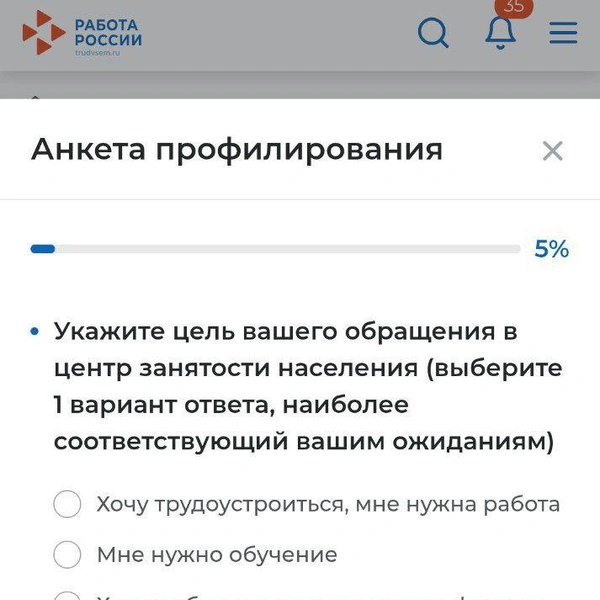 Источник: скриншот профилирования на портале «Моя работа» / trudvsem.ru