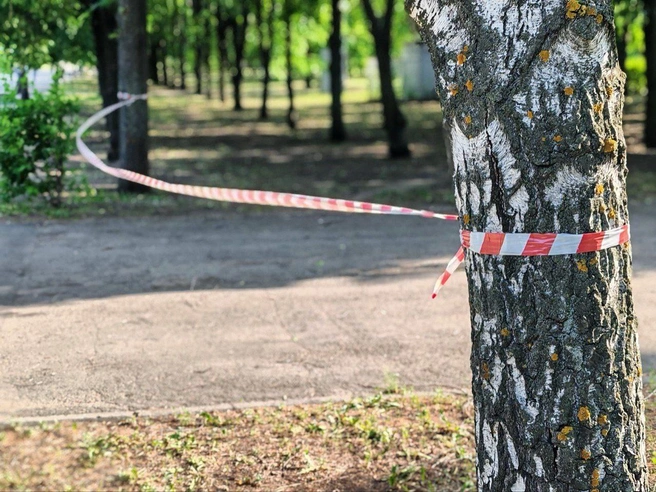 Все случилось поздно вечером в парке Победы | Источник: Администрация Тольятти