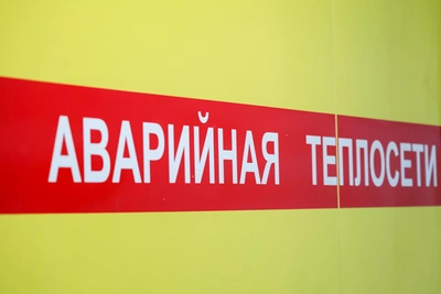 Прорыв трубы на Литейном: питомец погиб, ребенок в слезах