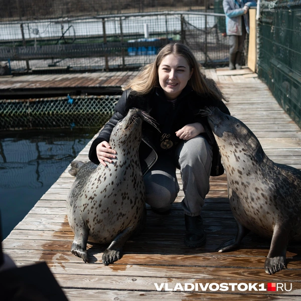 Источник: Елена Буйвол / VLADIVOSTOK1.RU