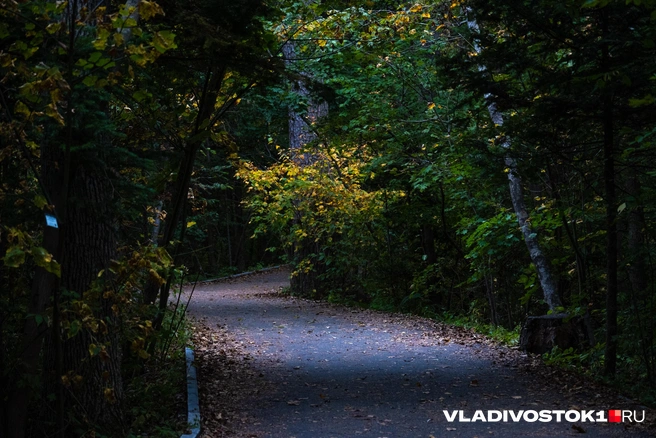 Источник: Елена Буйвол / VLADIVOSTOK1.RU