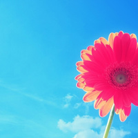 Аватарка Iran78