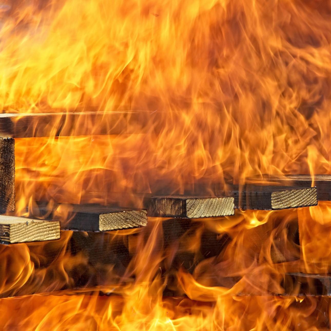 «Развели костер в комнате и сгорели заживо»: 4 человека погибли в хостеле Балашихи — жуткие кадры