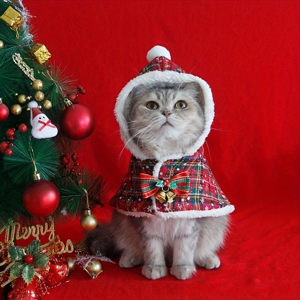 Костюм для кота